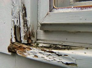 Aaron Painting and Construction window facing repairs image